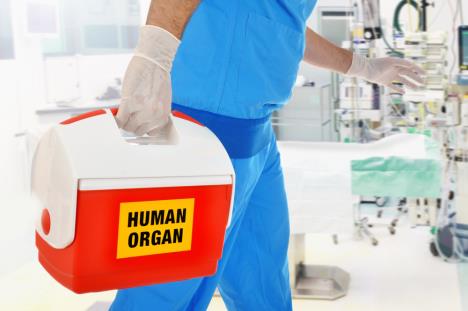 medicinski radnik u plavoj uniformi i higijenskim rukavicama nosi crveno belu kutiju za transport organa za transplantaciju