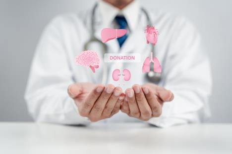 medicinski radnik u belom mantilu drži šake okrenute na gore iznad koji se vide skice različitih organa obojenih u roze