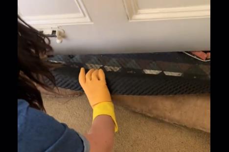 Screenshot 2025-10-07 130315.jpg