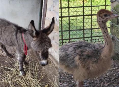 Screenshot 2025-10-08 125245.jpg