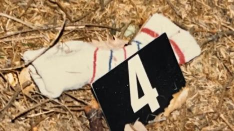 7998e2eafa51969a26baf4fa153e79da,82d609d8 copy.jpg