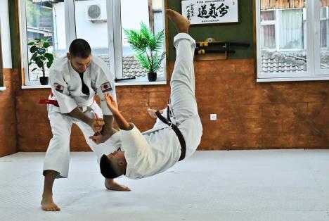 Japan u Loznici Loznica (8).JPG