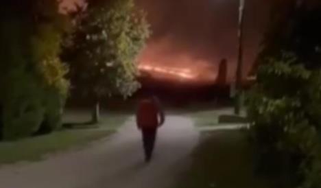 Screenshot 2025-10-12 110455.jpg