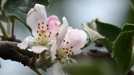 Screenshot 2025-10-13 135947.jpg