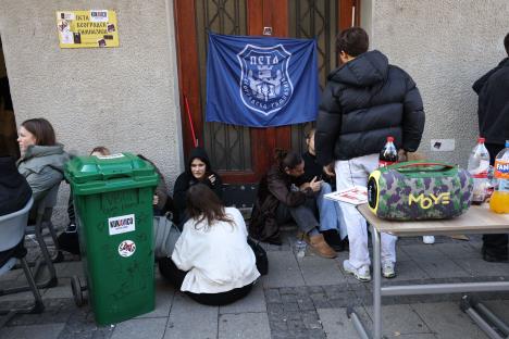 WhatsApp Image 2025-10-14 at 11.54.52.jpeg