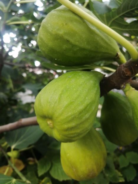 WhatsApp Image 2025-10-15 at 10.11.36_7736137a.jpg