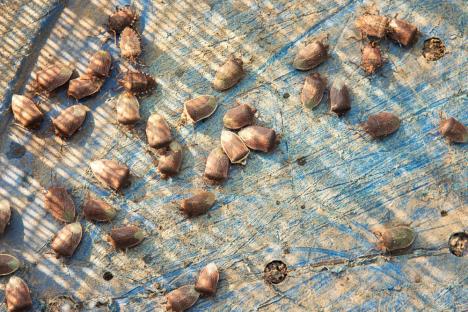 shutterstock_1772063636 (1).jpg