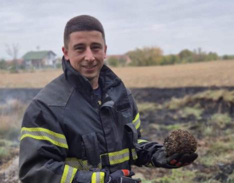 Screenshot 2025-10-16 142620.jpg