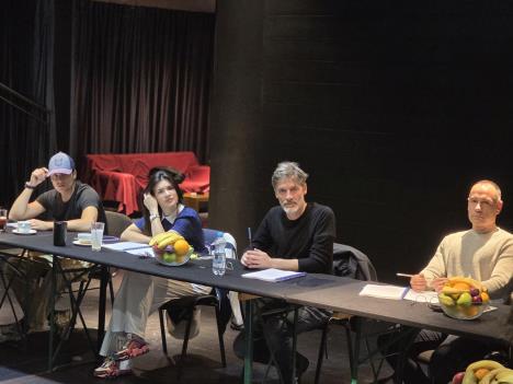 Prva proba Narodni poslanik