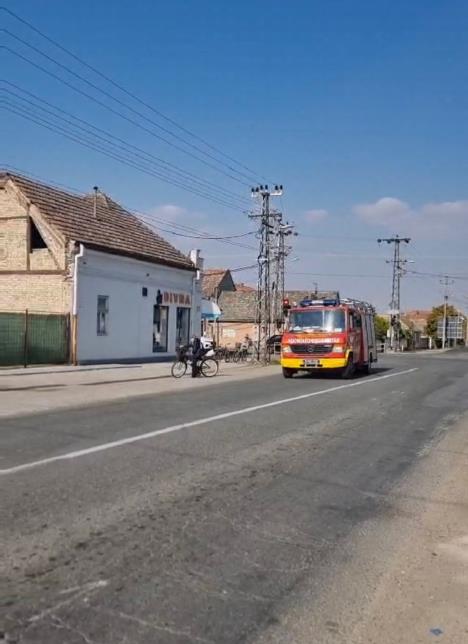 WhatsApp Image 2025-10-16 at 15.41.25_ff2b22d3.jpg