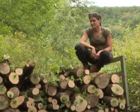 Screenshot 2025-10-16 223746.png