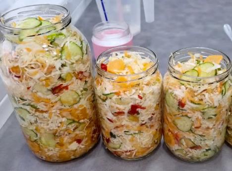 šarena salta, zimska slata, zimnica u tegli (2).png