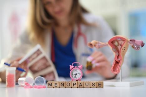 doktorka ginekolog za radnim stolom na kome se nalaze simboli menopauze