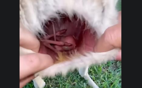 Screenshot 2025-10-20 101229.jpg