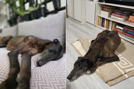 Screenshot 2025-10-20 105916.jpg