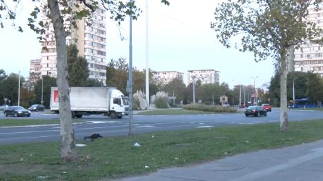 Bulevar Mihaila Pupina