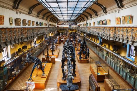 Prirodnjački muzej u Parizu