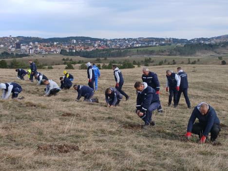 WhatsApp Image 2025-10-21 at 4.25.19 PM.jpeg