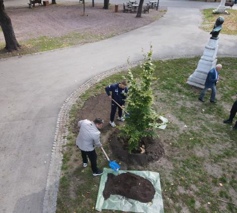 Dušan Tojagić i Milan Bulaja sade drvo povodom 96 godina postojanja JKP Zelenilo