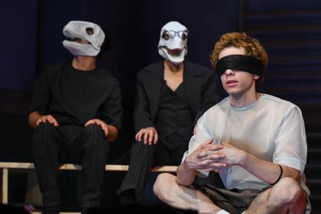 Pčele progon foto B Abdulovic (5).jpg