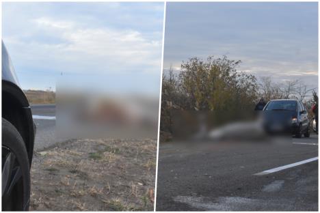 saobraćajna nesreća Kikinda stradao konj