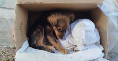 Screenshot 2025-10-23 141006.jpg