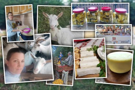 Farma koza Ivanović (14).jpg