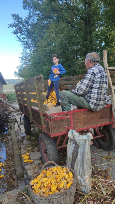 Farma koza Ivanović (19).jpg