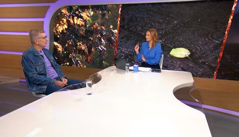 Nedeljko Todorović u studiju Kurir televizije