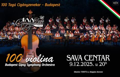 100 violina Sava Centar.jpg