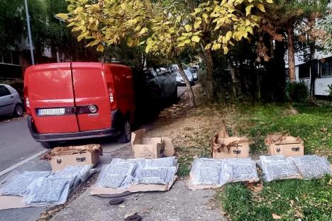 droga zaplena marihuana