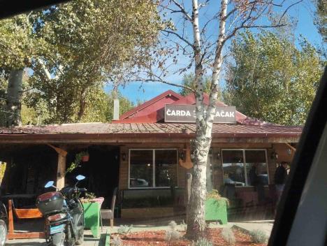 čarda Mačak izboden mladić Novi Sad