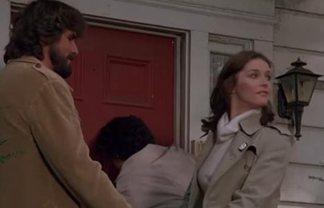 filmsku franšizu The Amityville Horror