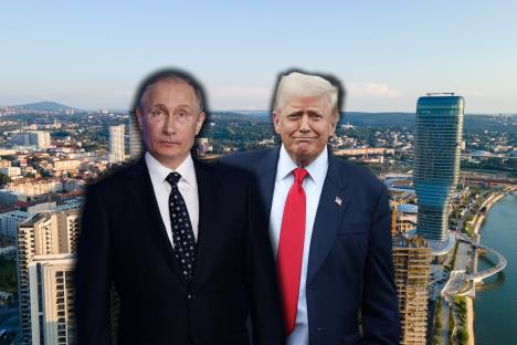 shutterstock_2556741673 copy.jpg