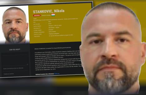 НИКОЛА Станковиќ