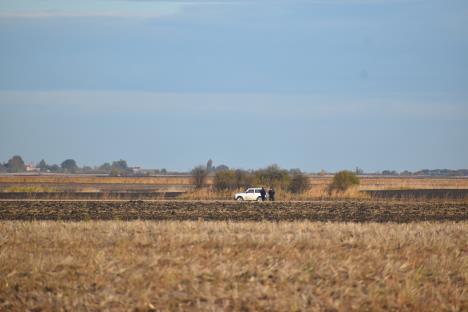 nestao Aleksa Popov Kikinda