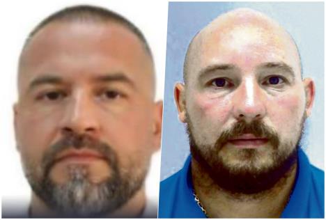 Čaba Der  NIkola Stanković