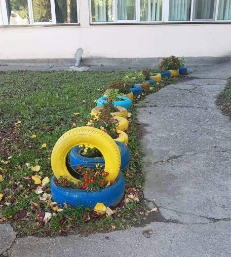 LOZNICA - Ukrašena staza.jpg