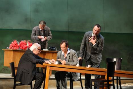 Razvojni put Bore šnajdera Aleksandra Popovića