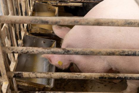 WhatsApp Image 2025-10-28 at 11.17.33_58c5eec3.jpg