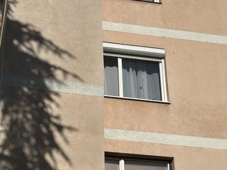 i pucnjava Voždovac Braće Jerković