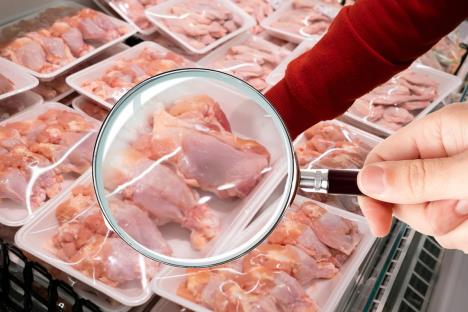 KOntrola kvaliteta piletina.jpg