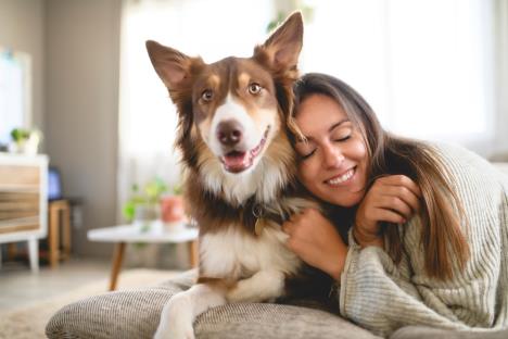 mlada žena kod kuće sa svojim psom, australijskim ovčarom