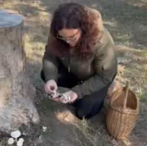 Screenshot 2025-10-31 115408.jpg