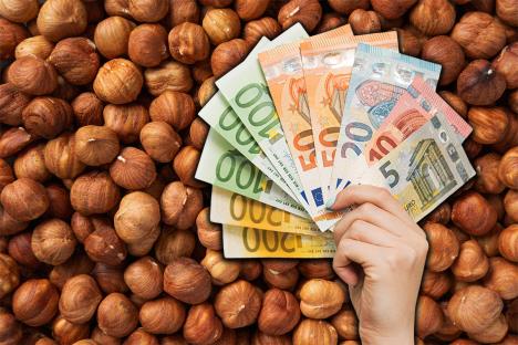 sadnja lešnika lešnici lešnik