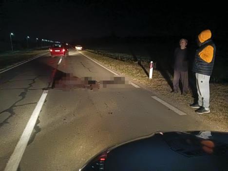 Magarac stradao foto s.u..jpg