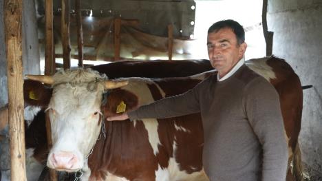 1762243995lucani-porodica-davidovic-fotorina (4).JPG