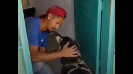 Pas i njegov vlasnik se ujedinili nakon 5 godina.jpg