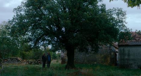 Kadar iz filma Kako je ovde tako zeleno