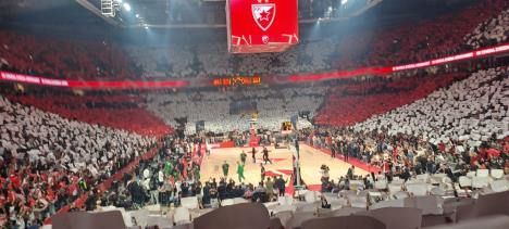 Delije, KK Crvena zvezda